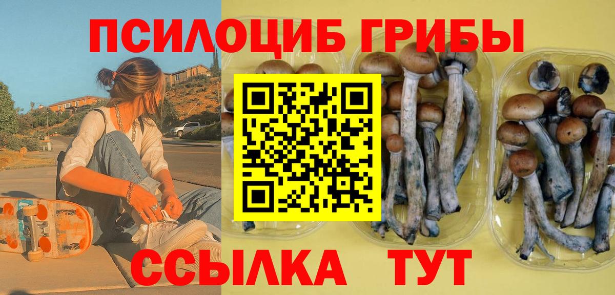 Псилоцибиновые грибы ЛСД Конаково