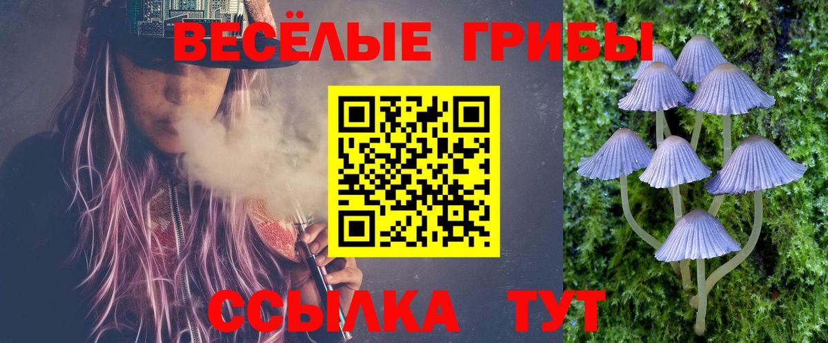 Псилоцибиновые грибы Cubensis  где купить наркотик  Вход с VPN  Конаково  Псилоцибиновые грибы Magic Shrooms 
